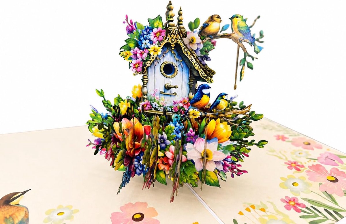 3D pop-up wenskaart vogelhuis & bloemenweide - gedetailleerde effectkaart met zangvogels, geopend 26 × 18 cm, opbouwhoogte 11 cm, incl. witte envelop - cadeau voor tuinliefhebbers, Moederdag