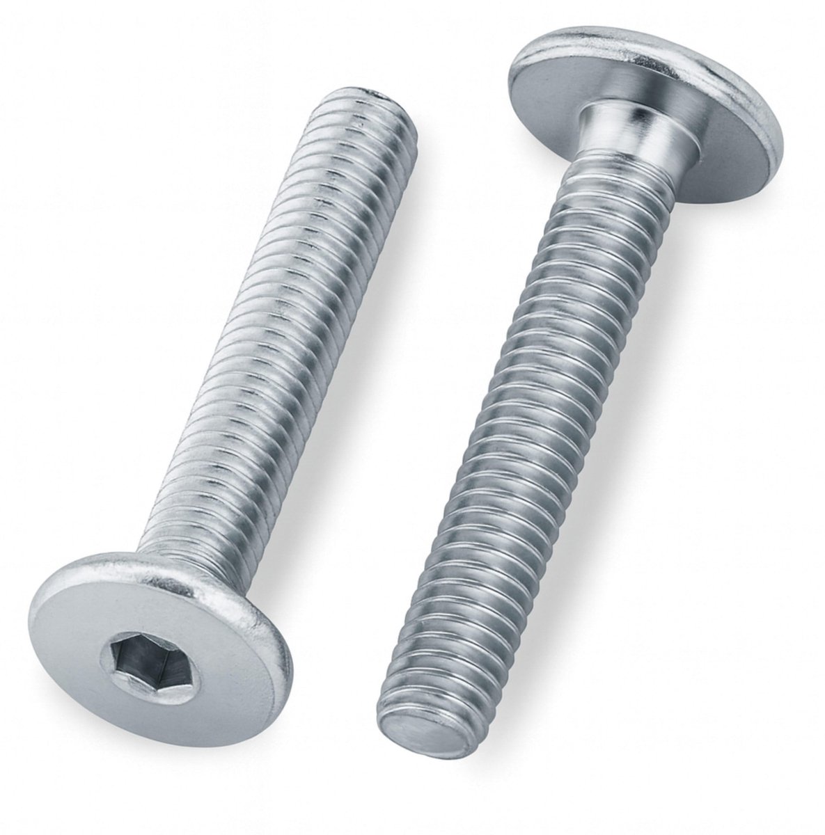 Omgoods - M6 x 35 mm Cylinderkop Schroeven - 100 Stuks Volledige Draad