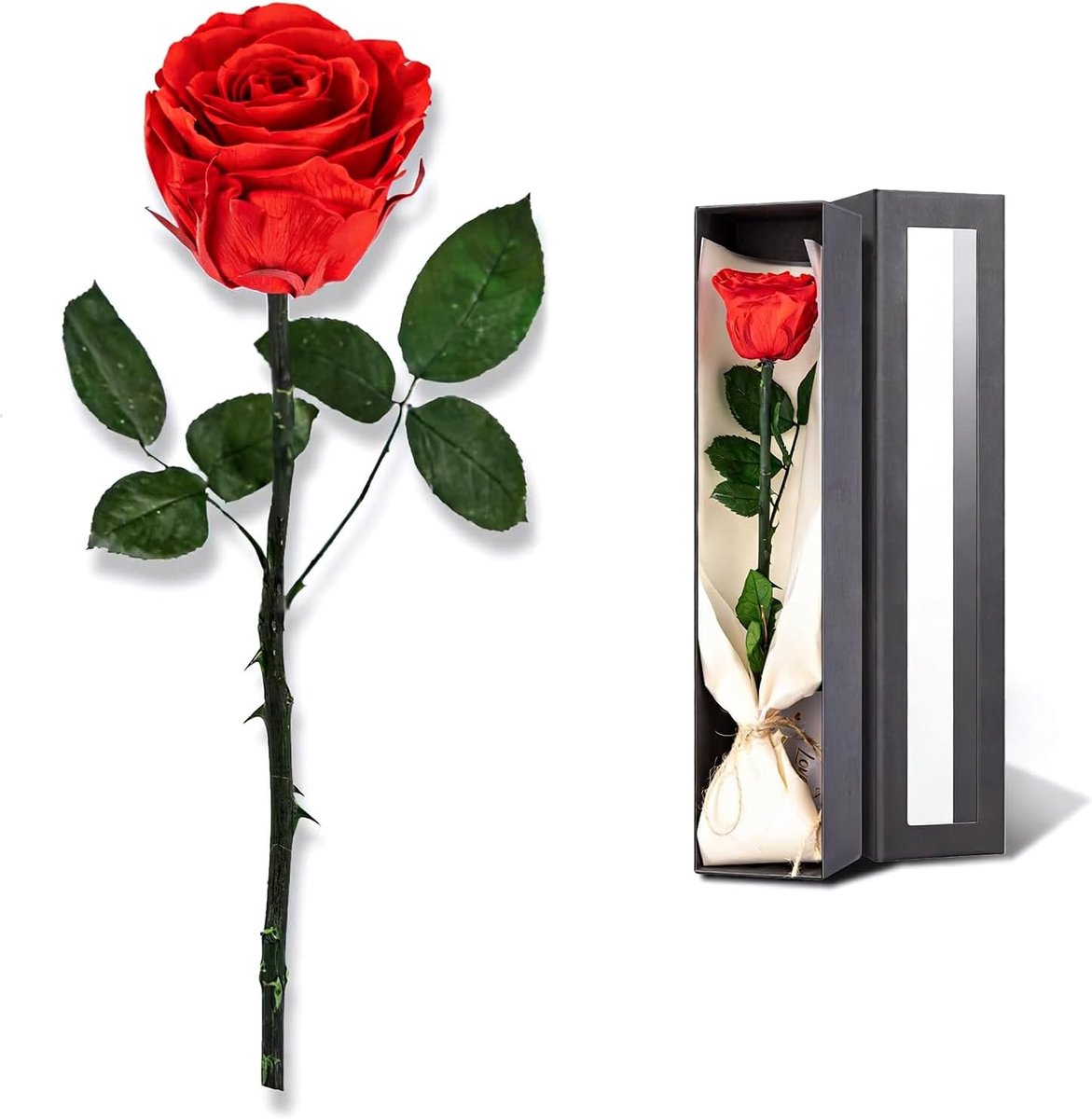 Geconserveerde rode Roos in Geschenkdoos, Cadeau voor Vrouwen Verjaardag Valentijnsdag Moederdag