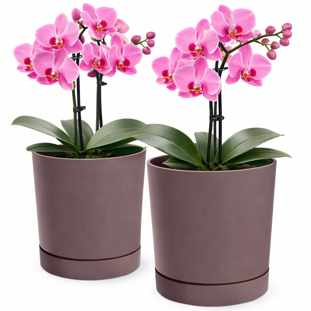 Omgoods - 2-Pack Bloempotten met Onderpot - Plastic Overpotten Marsala Ø 20 cm