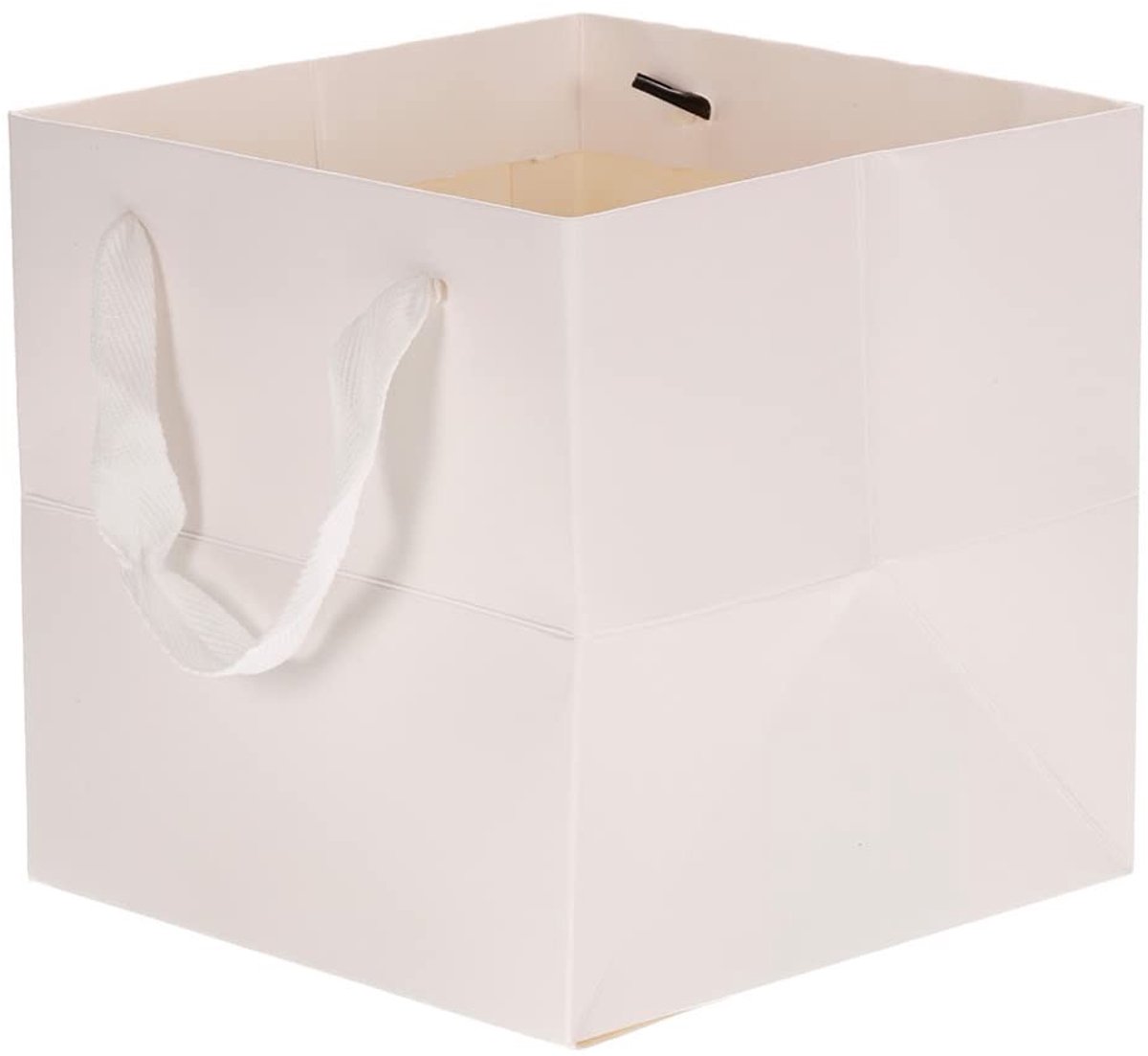 Omgoods - 5 Stuks Vierkante Papieren Zak met Handvat - Voor Geschenken en Bloemen