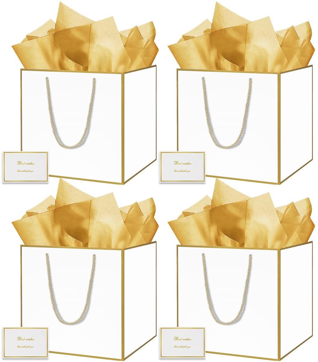 Omgoods - 4 Stuks Grote Geschenkzakjes met Phnom Penh-design - 30x30x30 cm