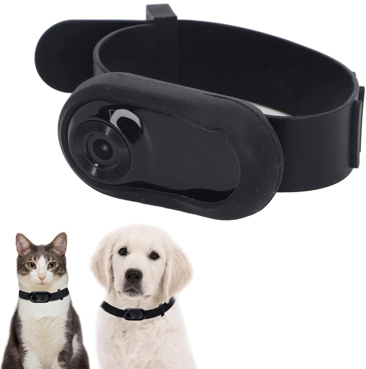 Omgoods - Kattencamerahalsband met Video-opnames en Geen Wifi Nodig