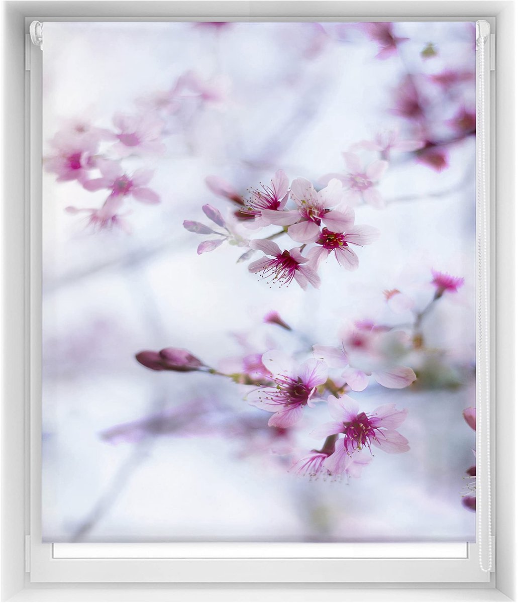 Omgoods - Easy Blind - Translucente Rolgordijn 130 x 150 cm