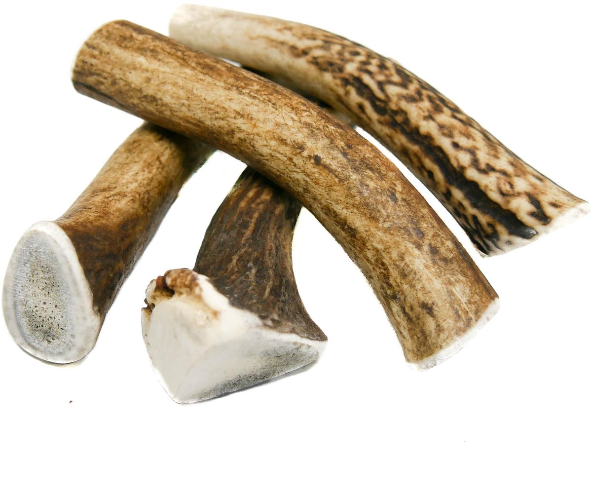 Omgoods - Hondensnack met hertengeweien | Natuurlijke, veilige en gezonde traktatie voor jouw hond | XL, 17-19 cm | versie | 5 stuks