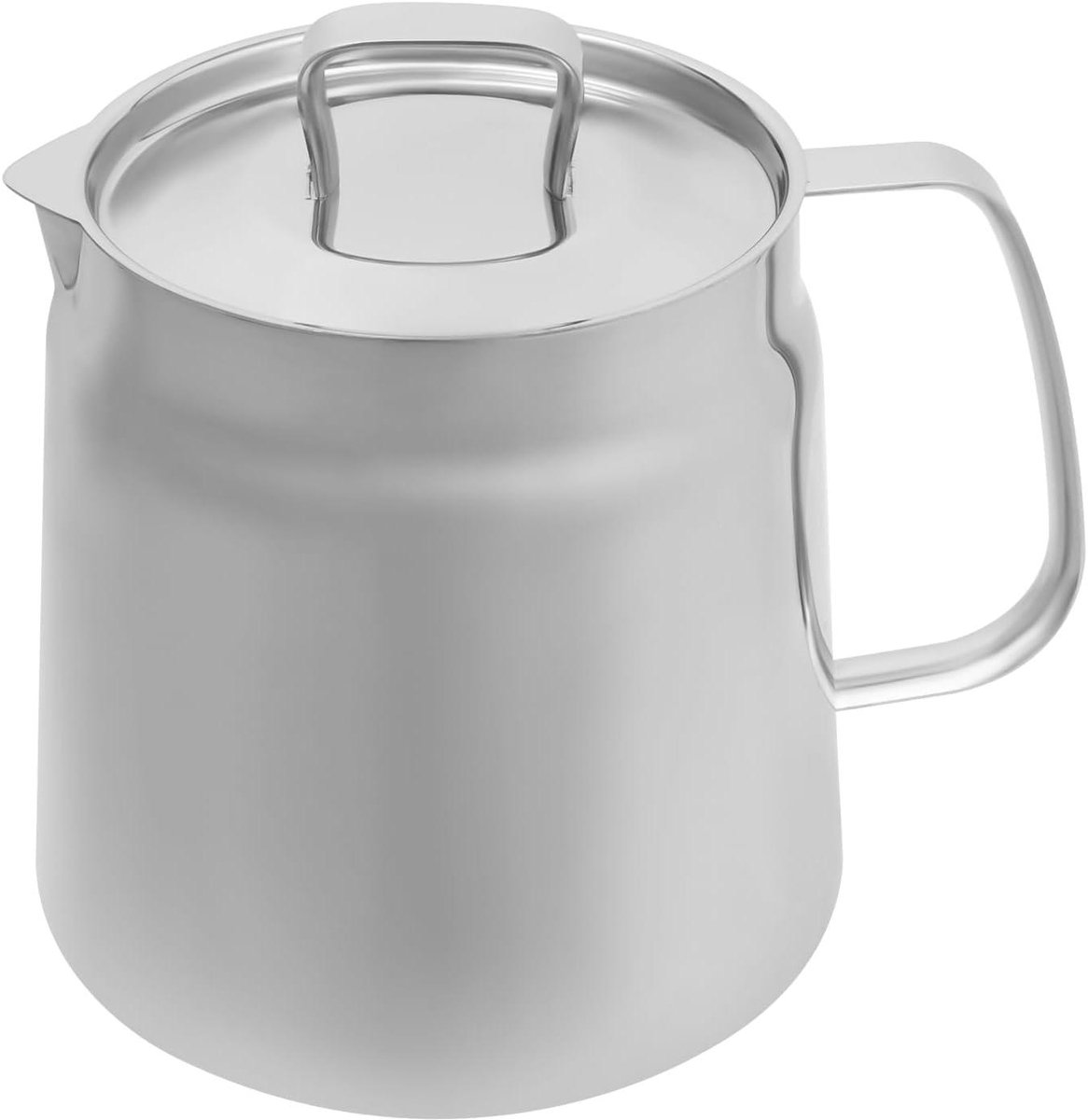 Frituurpan RVS - Friteuse - Thuis Frituren - Snelle Warmteverdeling - 2 Liter - Gepolijst