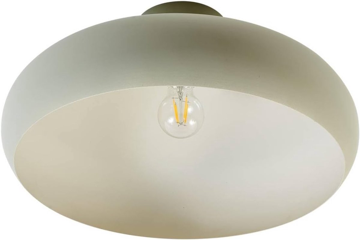 Plafondlamp Elover (modern) in groen van metaal (1 lamp, E27) - plafondlamp lamp woonkamerlamp