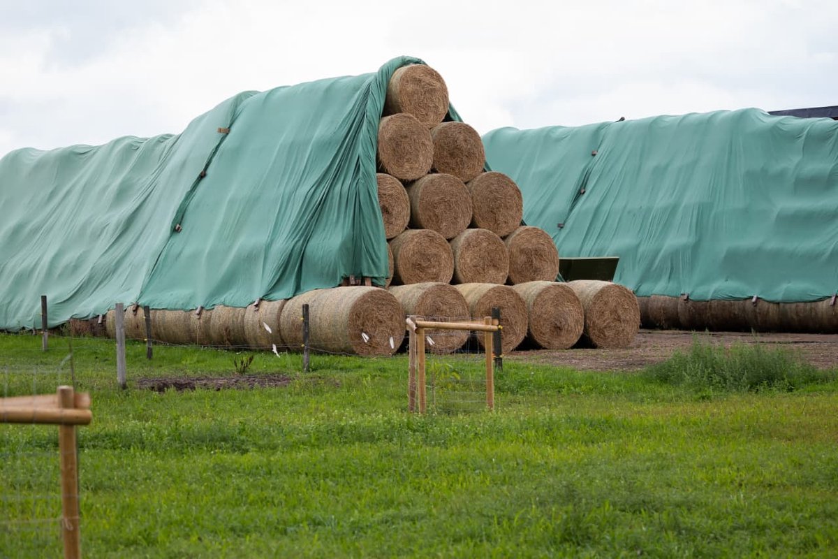 Strobaalafdekking (160gr/m²) 9.80mx12.50m
