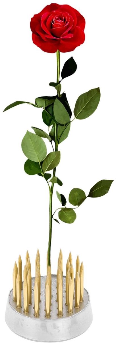 Dailygoods- Bloemenkikker Goudkleurig - Koperen Kikkers - Kikkers met Speld 23 mm - Bloemstukken - Tafelopzetstukken - Hoogwaardige Materialen - Bloemschikking