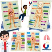 Smarfer - Ontdek het Menselijk lichaam - Magnetische pictogrammen van skelet en organen - Montessori speelgoed - Sensorisch - Magnetisch - Educatief anatomie model van de mens - Organen Planbord - Kinderen