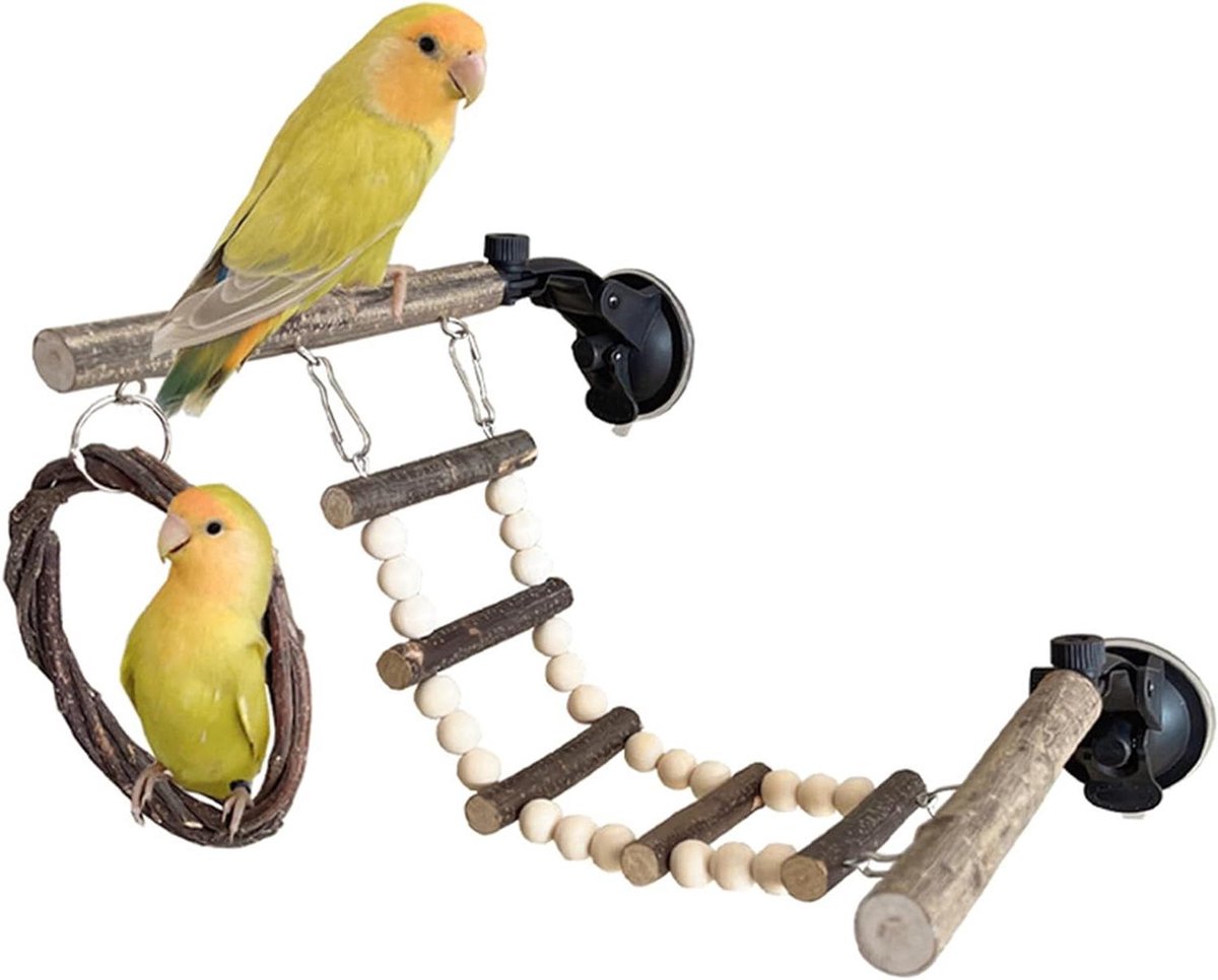 Vogel Touw Ladder - Zitstok Klimrek - Vogel Speelplezier - Zuignap Bevestiging - 20x19x6.5 cm - Meerkleurig
