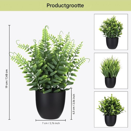 Een varenplant van kunststof van 19 cm hoog in een zwarte pot, met afmetingen.
