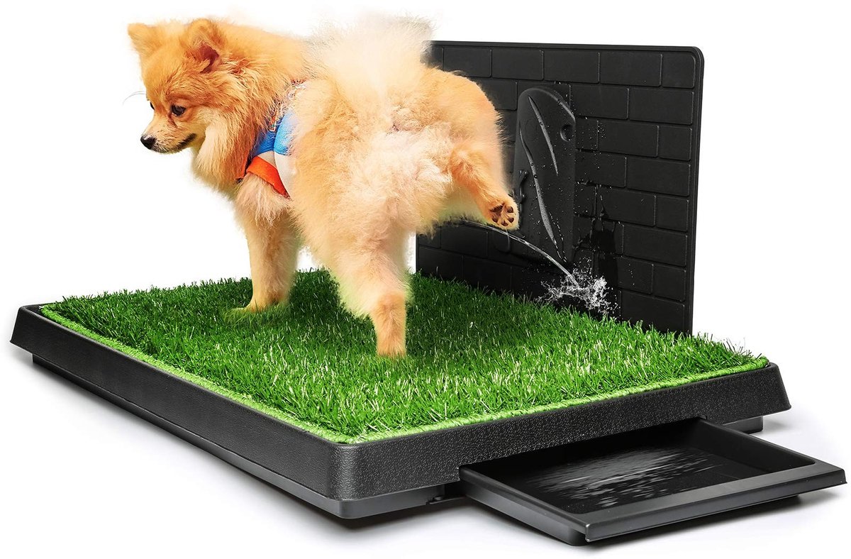 Dailygoods- Hondentoilet Indoor - Kunstgras - Verwijderbare Afvalbak - Geschikt voor Puppy’s/Kleine Honden - 76 x 51 cm - Eenvoudig Opruimen - Puppytraining
