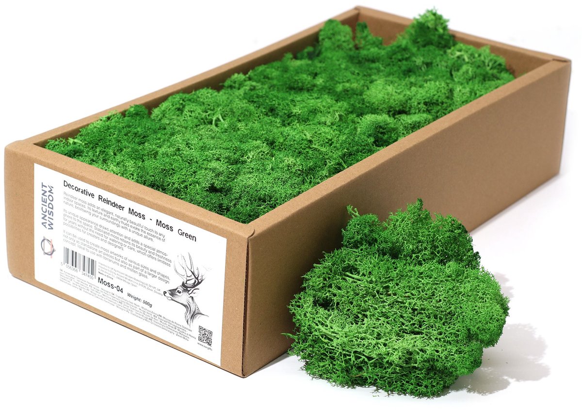 Hoogwaardig decoratief rendiermos - Mosgroen - Doos van 635 g