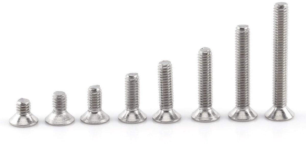 Dailygoods- Hex Bolt M2.5 A2 Roestvrij Staal - Schroeven - Schroevendraaierset - Hex Moeren - Corrosiebestendig - Scherp Schroefdraad