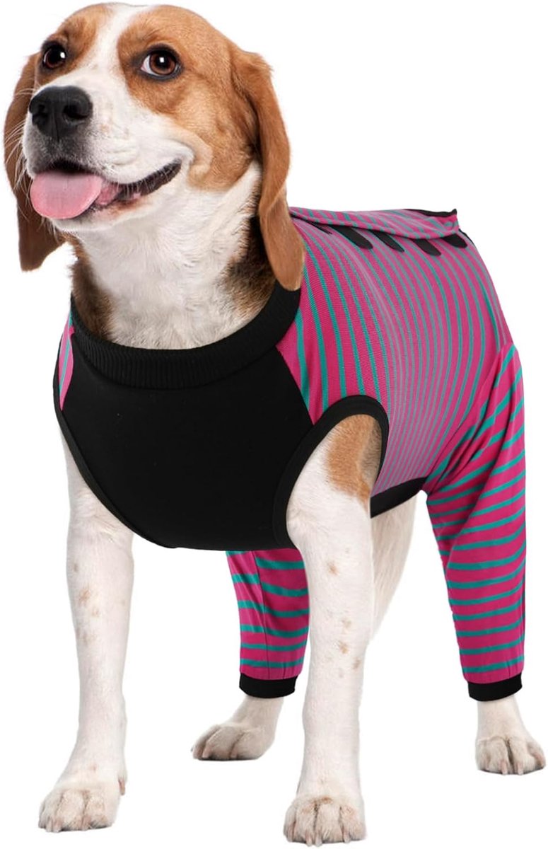 Herstelpak voor honden - vrouwelijke achterbenen postoperatief rompertje roze XL
