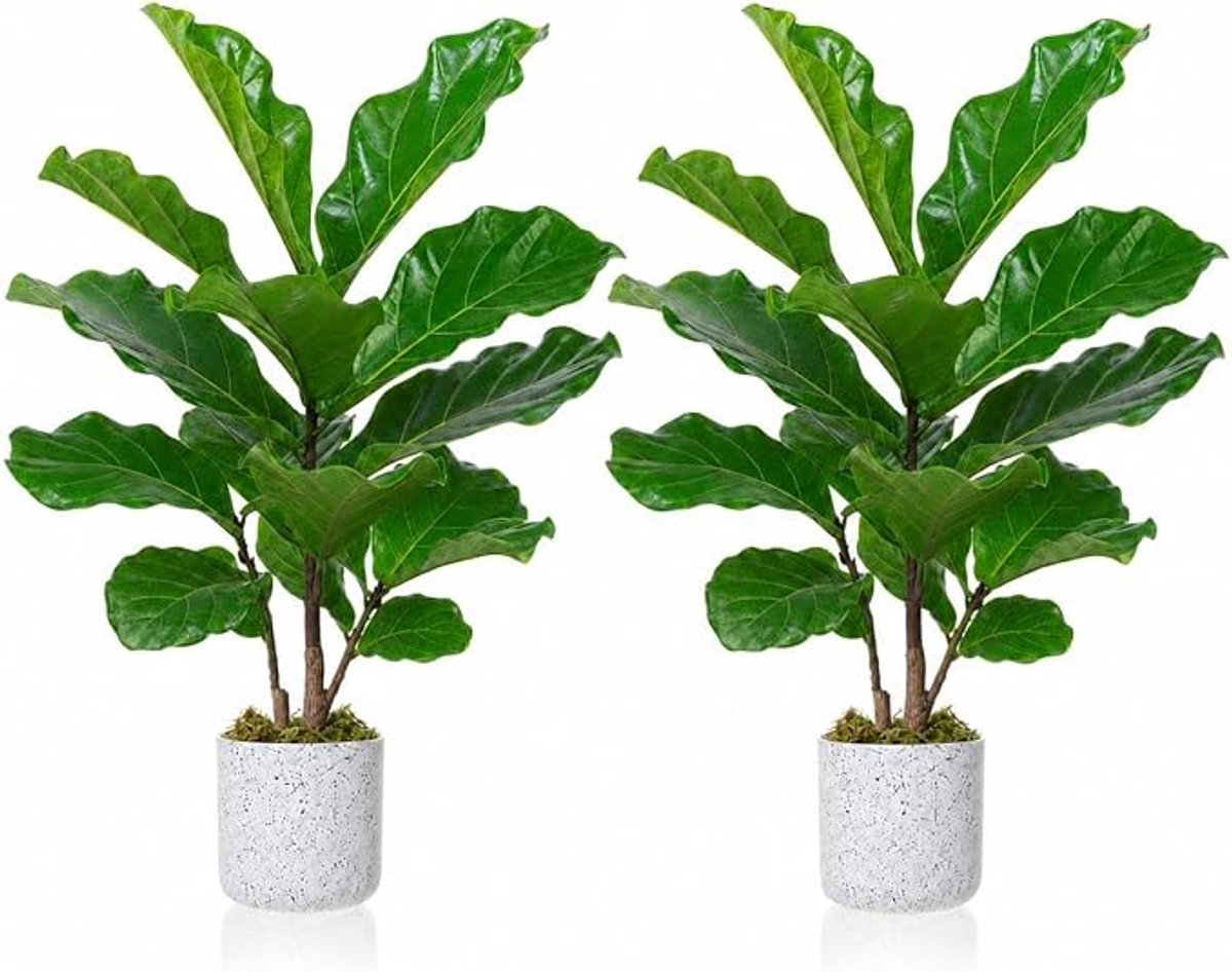 HOERFURIY kunstficus lyrata set van 2 stuks - 40 cm groen PEVA - tafelplant met marmerlook pot voor binnen