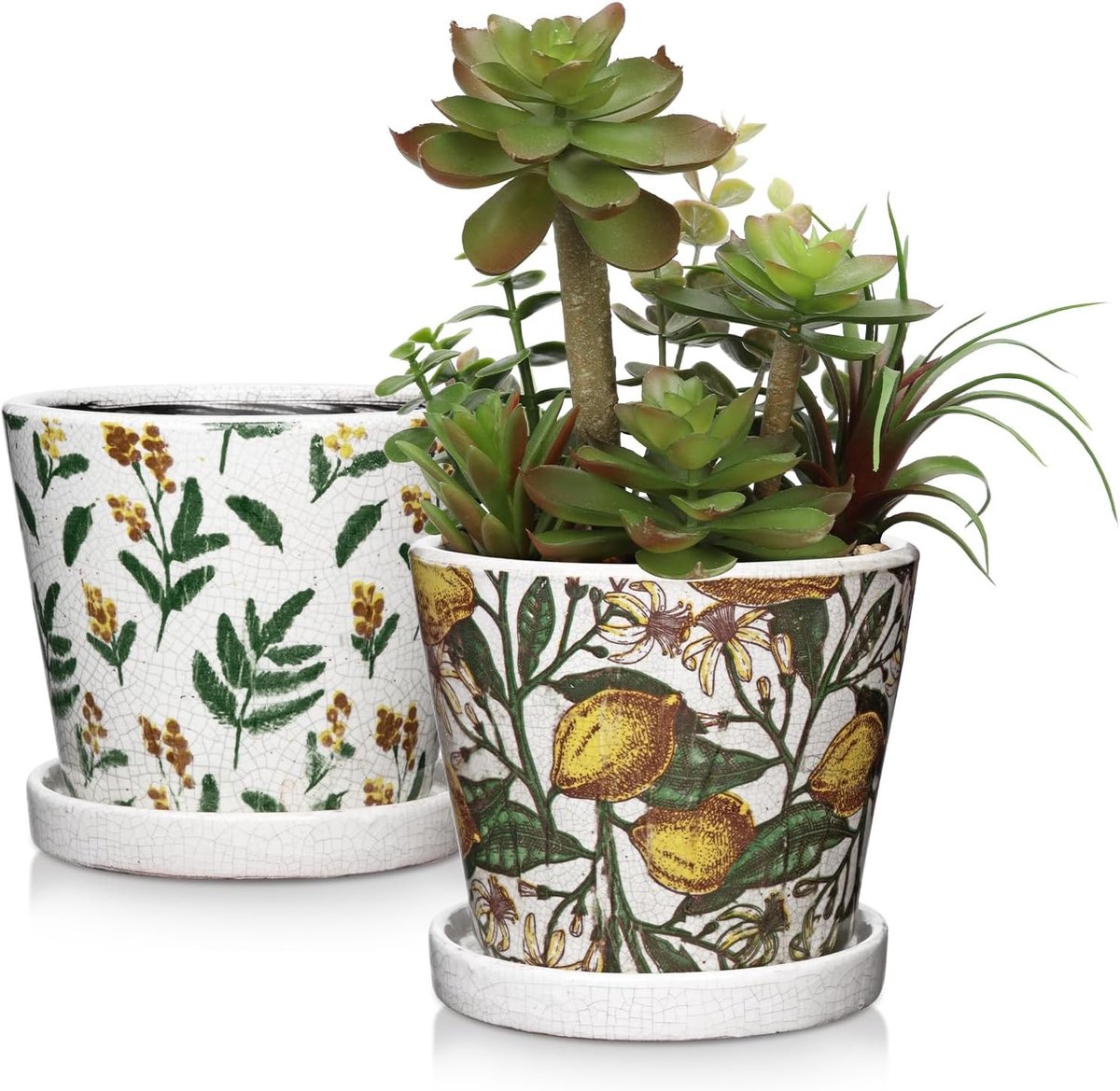Ronde keramische plantenpot voor vetplanten en cactussen met drainagegaten en schotels, ideaal voor binnen en buiten, tuin en vensterbank, 2 stuks