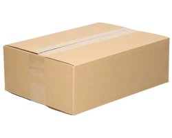Verzenddoos - Vouwdoos - Kartonnen dozen - 305 x 220 x 100mm - FSC - 25 stuks