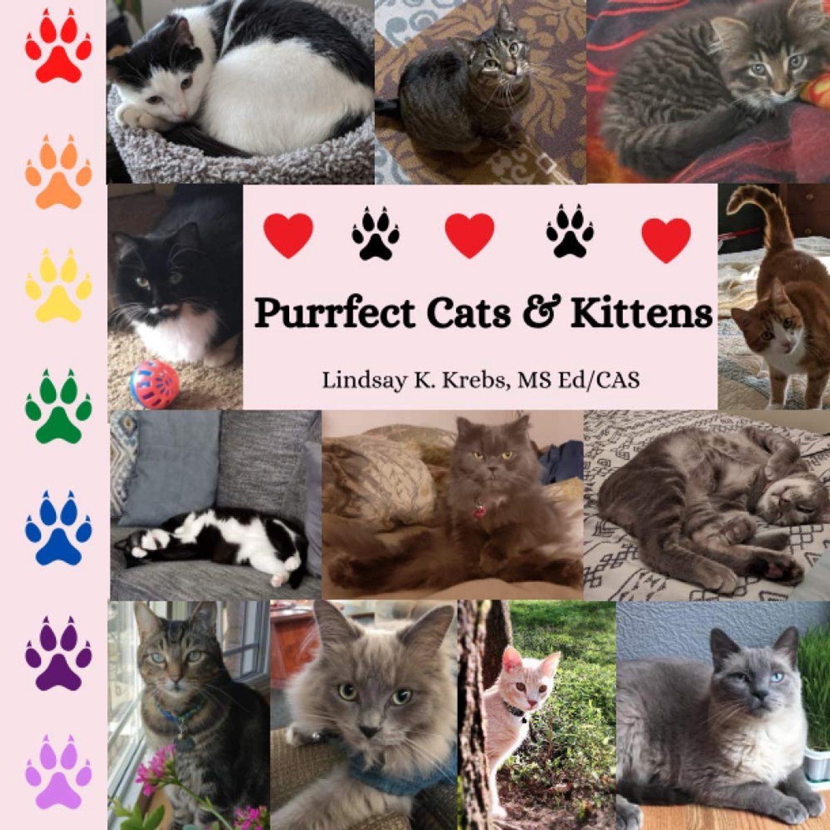 Cats & Kittens