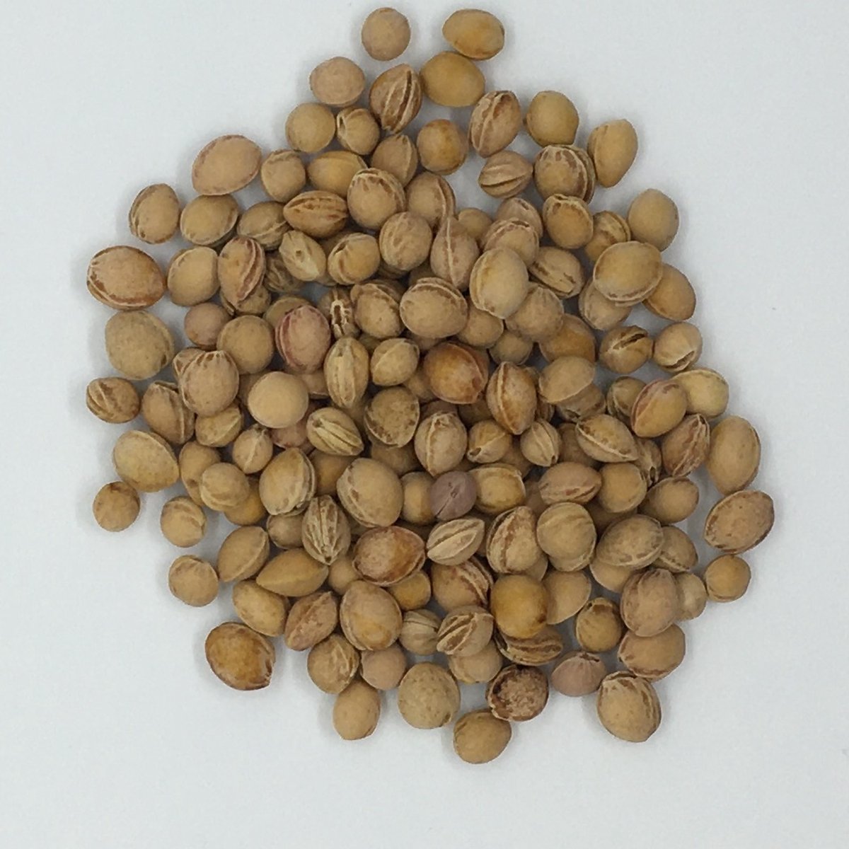 10 kg gereinigde kersenpitten voor warmte- en koudetherapie, vulmateriaal voor kussens en knuffels