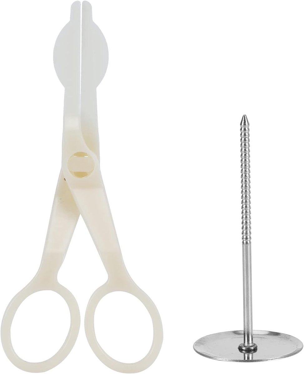 2 Stks Cake Bloem Nagel Lcing Bloem Nagel Bloem Lifters Piping Bloem Schaar DIY Cake Decorating Tool Bakken Gebak Gereedschap