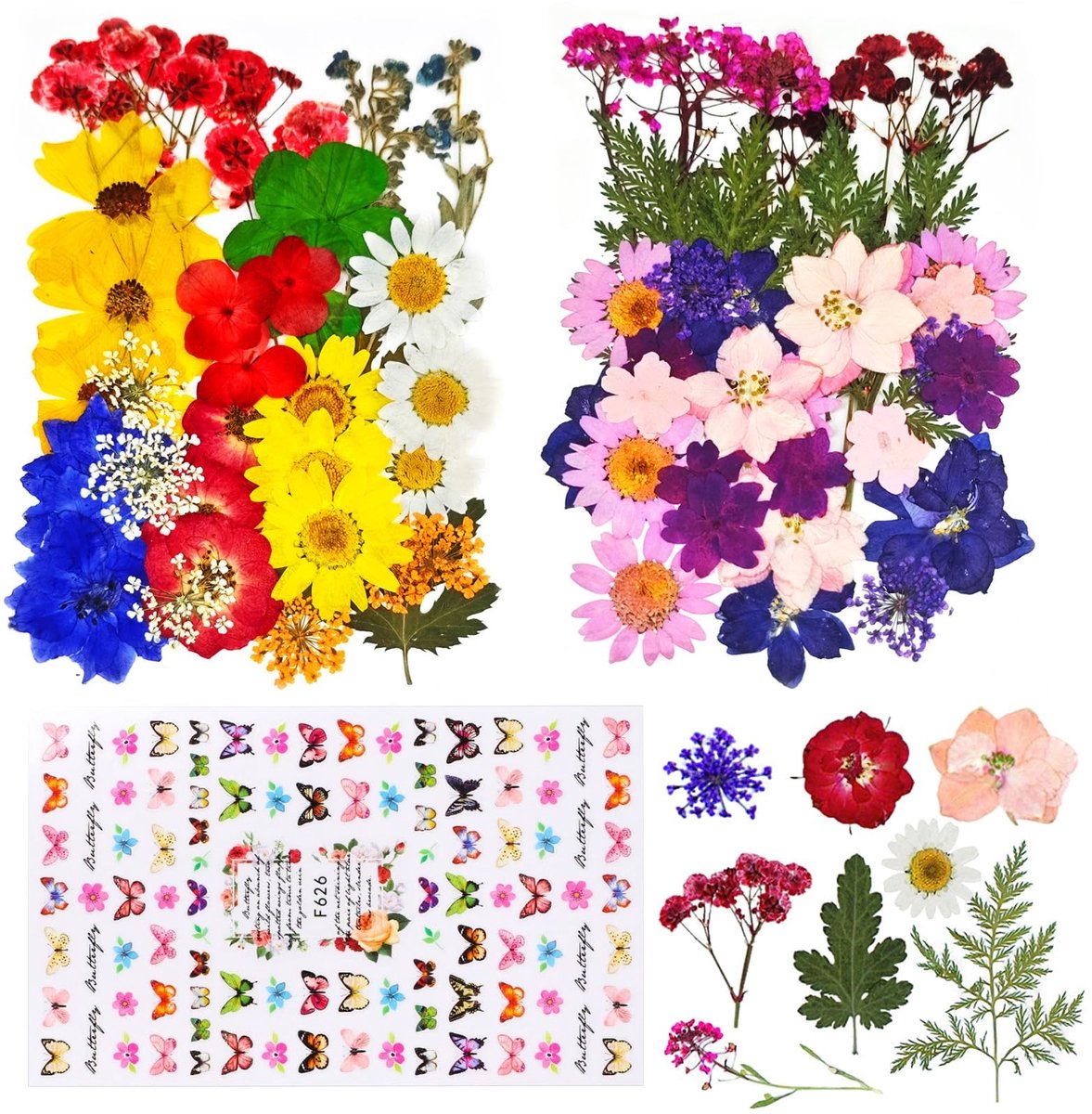 SolidKeus - Set van 70 Gedroogde Bloemen voor Creatief Knutselen