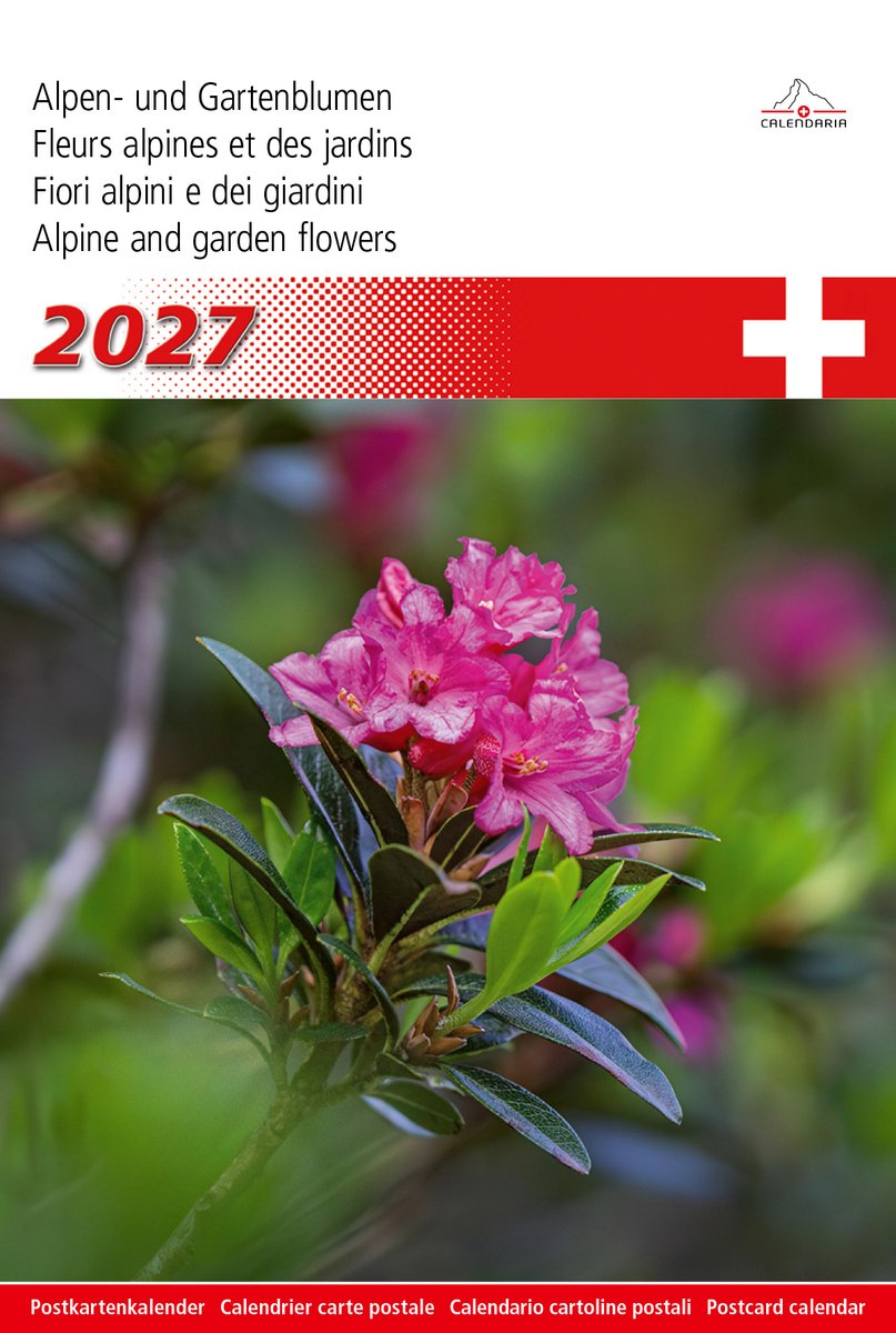 Calendaria - Postkartenkalender - Alpen- und Gartenblumen 2027- Zwitserland - Kalender - Formaat: 14 x 22 cm