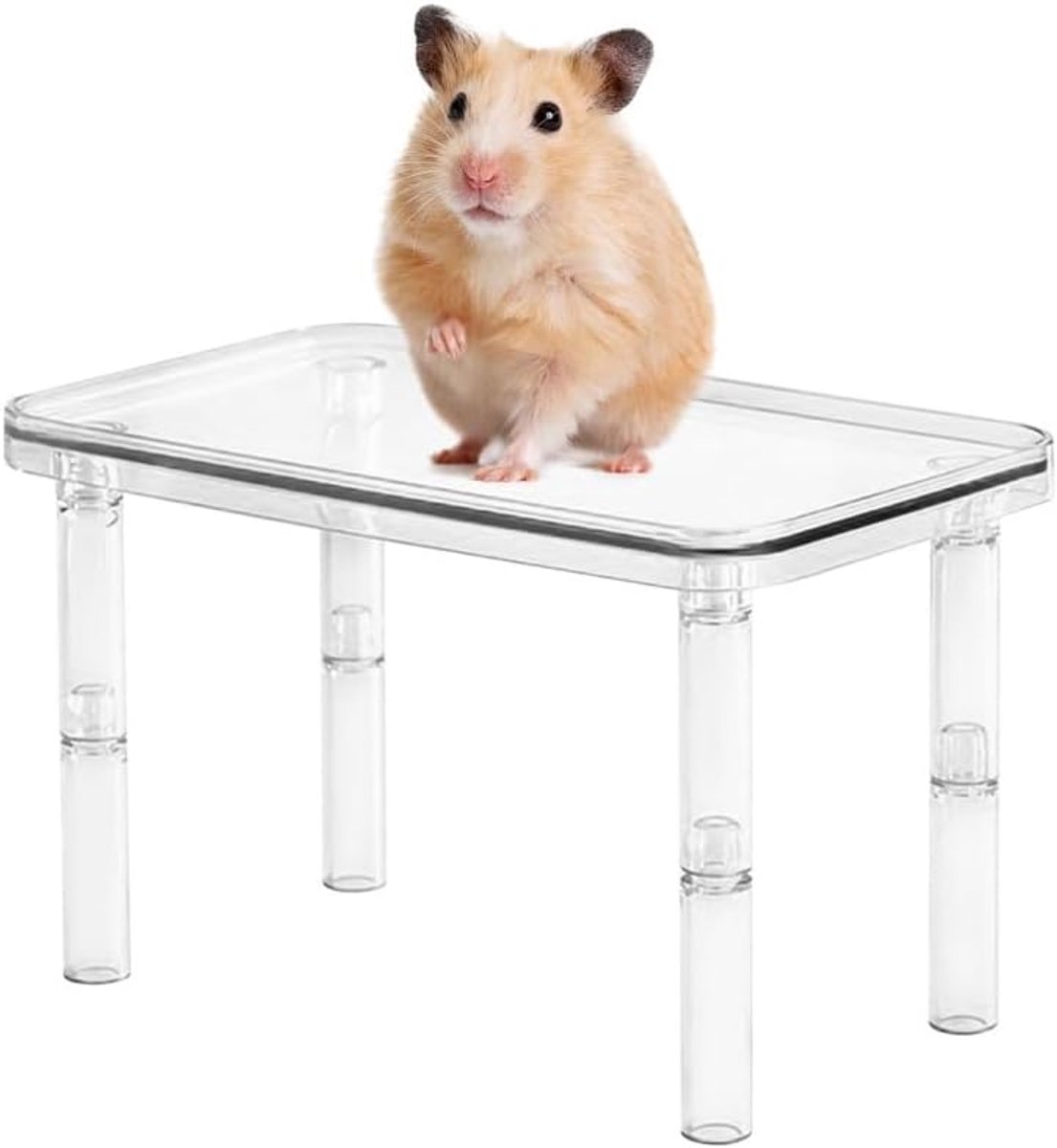 Speelplatform, transparant knaagdier speelplatform, in hoogte verstelbaar slaapplatform voor kleine dieren voor hamsters, gerbils, ratten, chinchilla's, klim- en bewegingsplatform