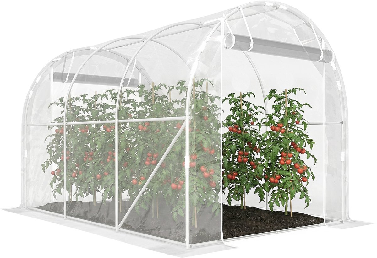 Outsunny Tunnelkas - Staal, PE - 195x295x195cm - Transparant