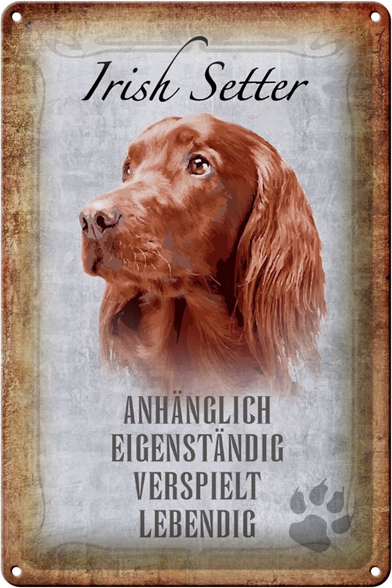Blechschild Spruch 20x30cm Irish Setter Hund Schild
