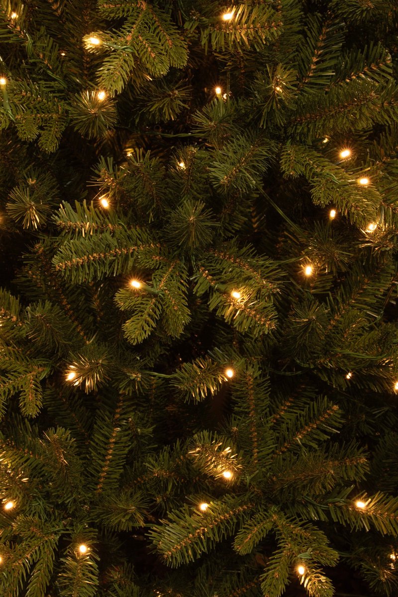 Black Box Trees Harma Smalle Kunstkerstboom - Kerstboom met Verlichting met Timer- en Dimfunctie - Kerstversiering met Warm Witte LED's voor Binnen - H185 x Ø63 cm - Groen – foto 3