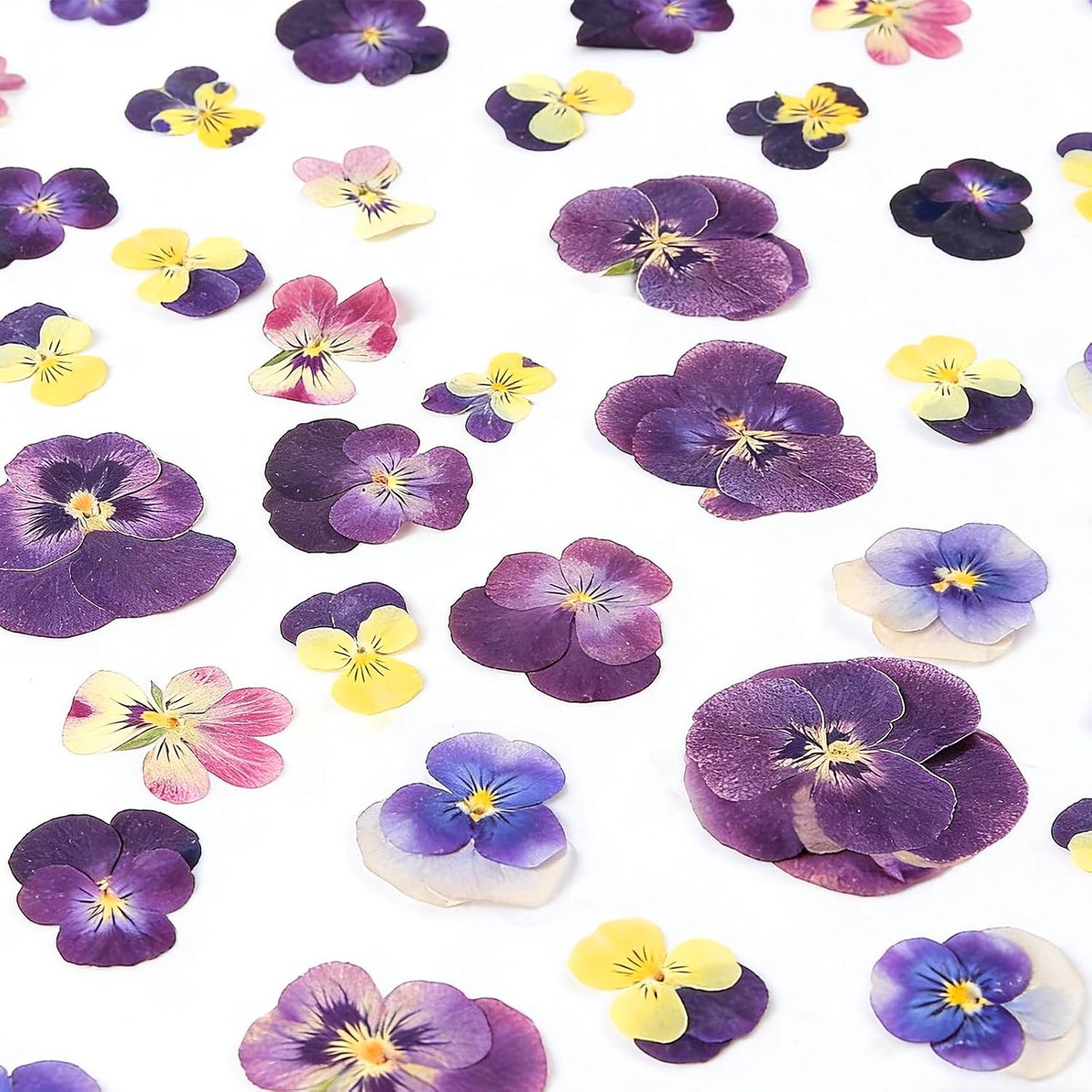48 Stück Blumen für Torte, Zuckerblumen & Muffin Deko aus Esspapier – Blütenförmige Waffelpapier Dekoration