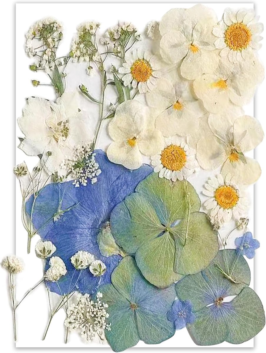 Gedroogde geperste bloemen voor harsmallen, YoothBro echte natuurlijke geperste bloemen voor doe-het-zelf kunstambachten, kaarsen maken, nageldecoratie, zeep maken, telefoonhoesje