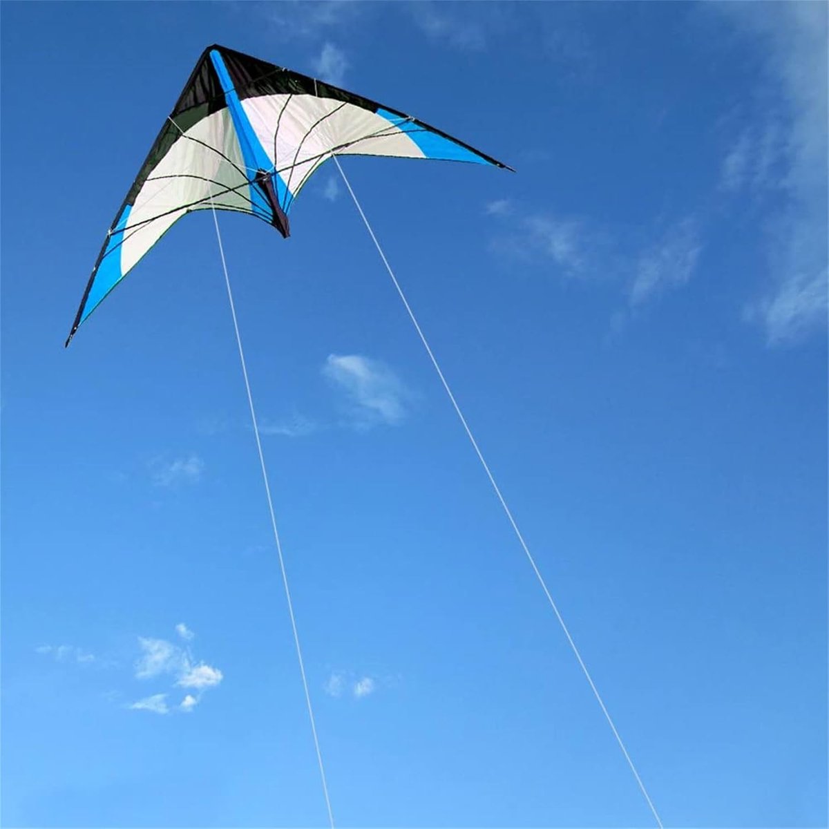 the sky 48 Inch Stunt Kite Outdoor Sport Fun Toys - Dual Line Sport Kite Inclusief Line, Handgrepen En Tas
