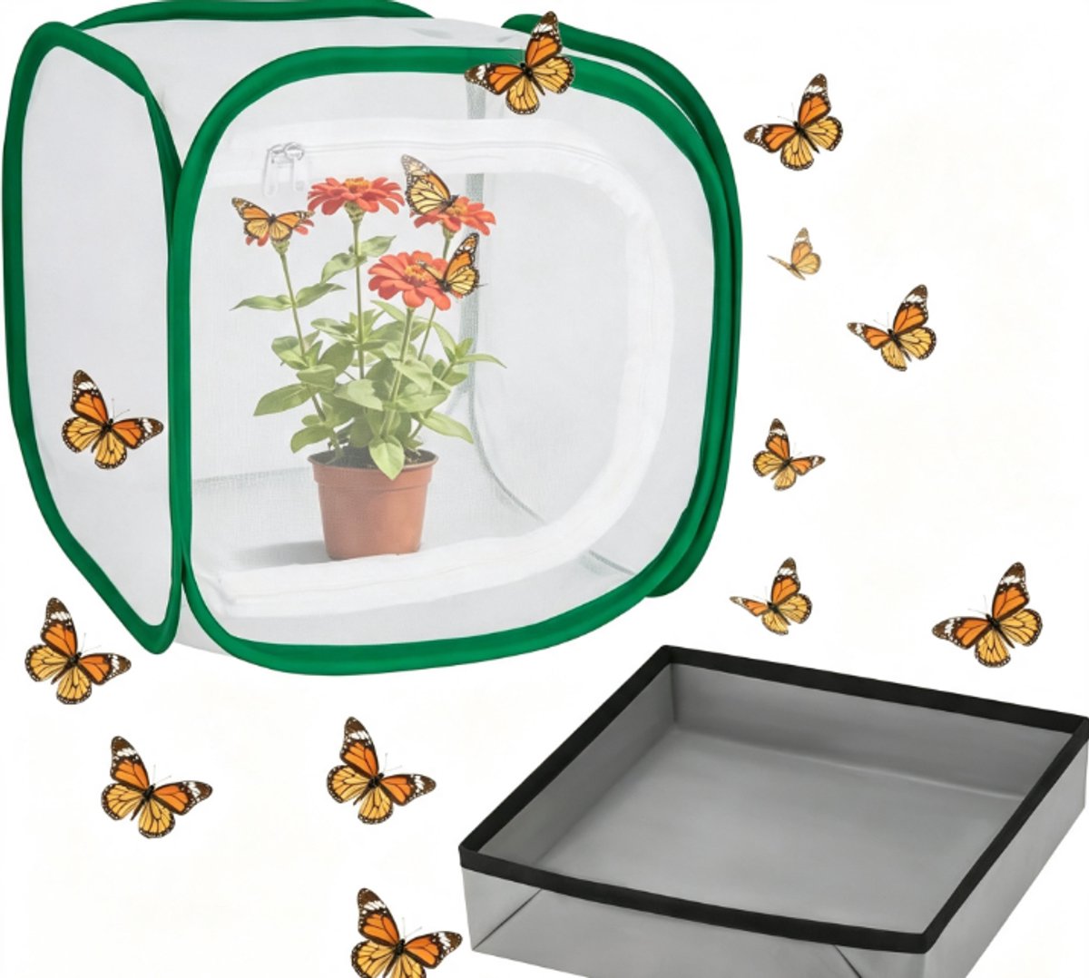Vlinderkooi - Observatiekooi - Habitat voor Insecten - Insectenwerende Plantentent - Vlinder Leefruimte Kooi - Vlinderverblijf - Vlinderkooi Van Gaas - Voor Het Kweken Observeren Van Insecten - Voor Groenten, Fruit, Bloemen en Zaailingen