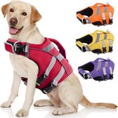 Labrador draagt rood zwemvest; naast oranje, geel en paars vesten.