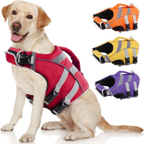 Labrador draagt rood zwemvest; naast oranje, geel en paars vesten.