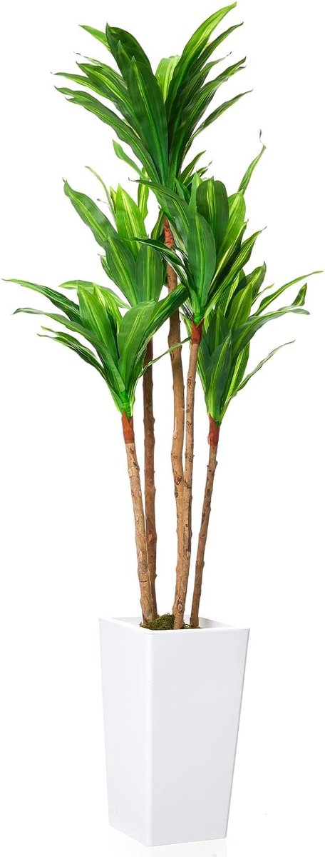 Triumpunpre - Nep Dracaena Boom 4.8FT - Natuurlijke Houtstam - Onderhoudsvrije Interieurdecor