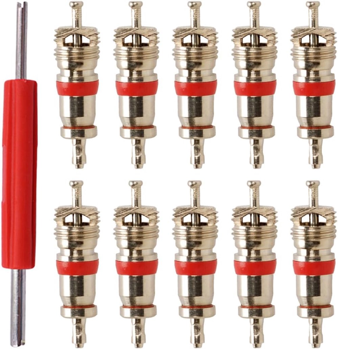 Pour Valves De Pneus, gereedschap voor het demonteren van ventielen met 10 inzetstukken, ventielkerntrekker voor auto, motorfiets, fiets, kleur rood, afmetingen 9,5 x 1,8 x 1 cm, 11