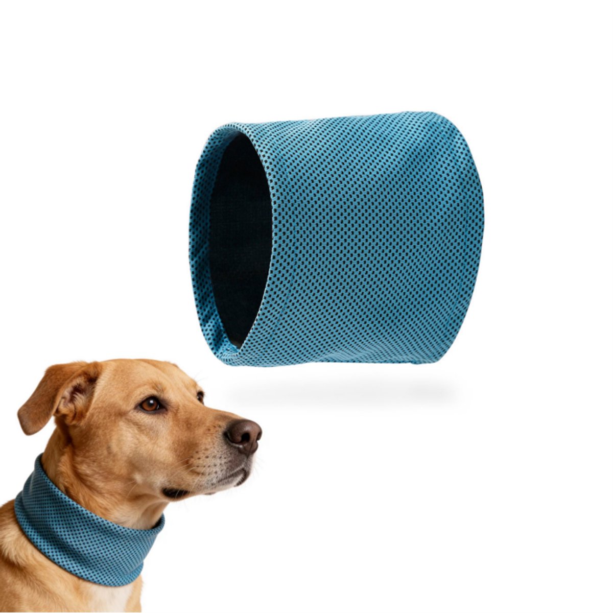 Koelende bandana voor honden - ademende sjaal voor huisdieren - ijskraag voor katten voor de zomer (blauw, maat L)