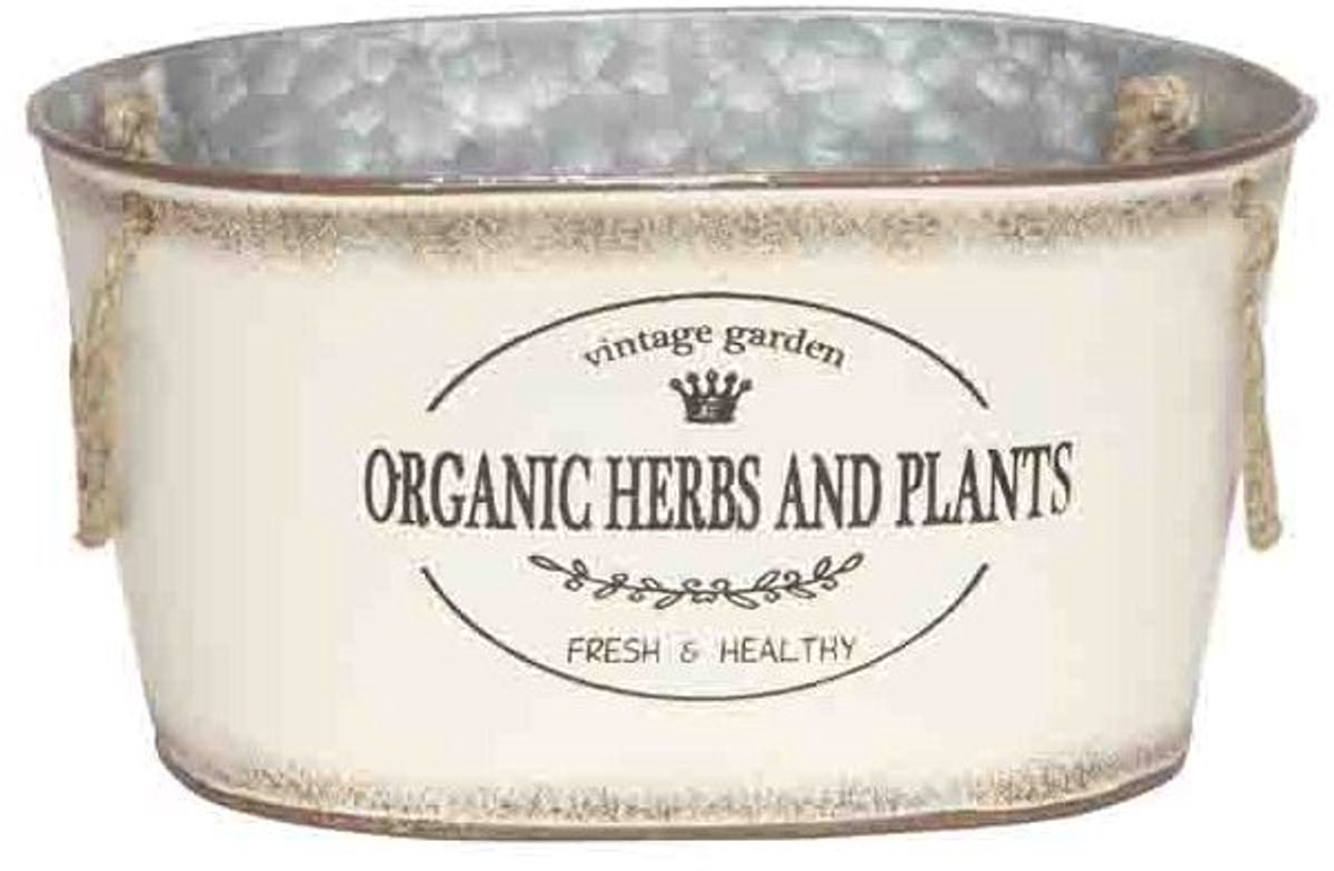 Cosy @ Home Plantenbak Vintage Garden Creme 21x13,5x