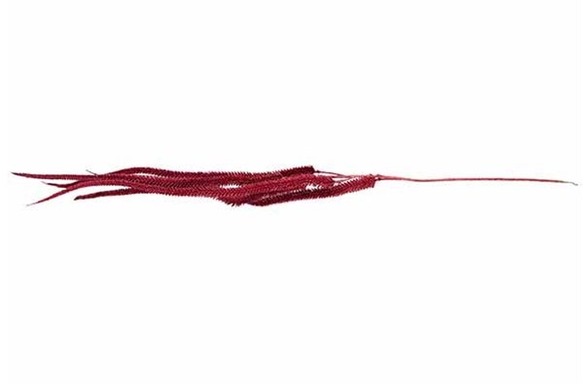 Decotak Cat Tails Rood 6x5xh140cm Kunsts Tof