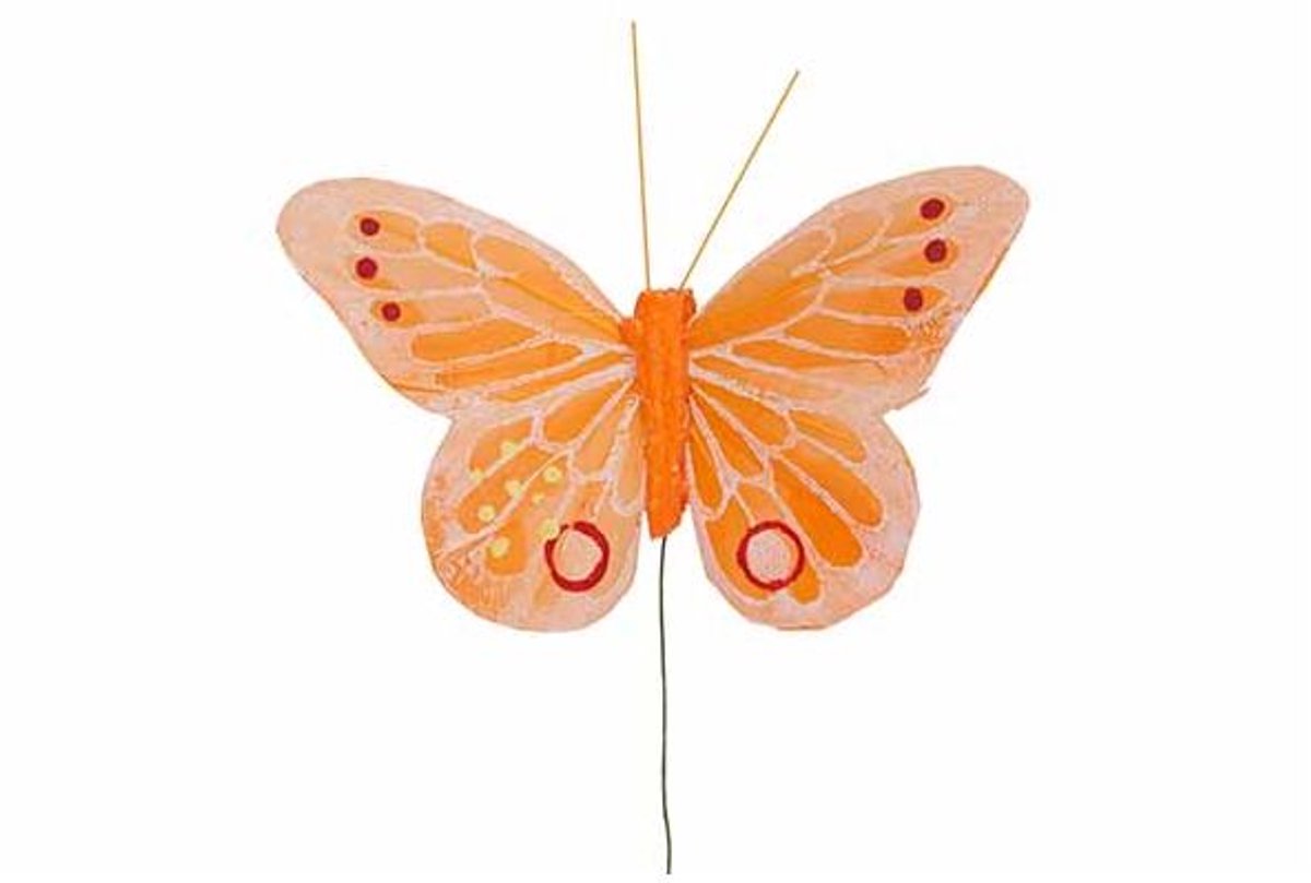 Vlinder Set12 Oranje 11x8xh3cm