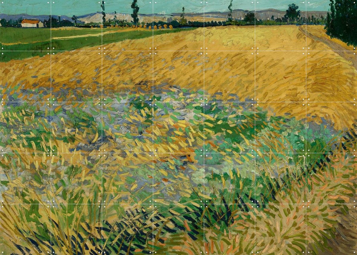 IXXI Korenveld (1888), Vincent van Gogh (1853 - 1890) & Van Gogh Museum - 140 x 100 cm - Gratis ophangtool - Grote wanddecoratie en posters -