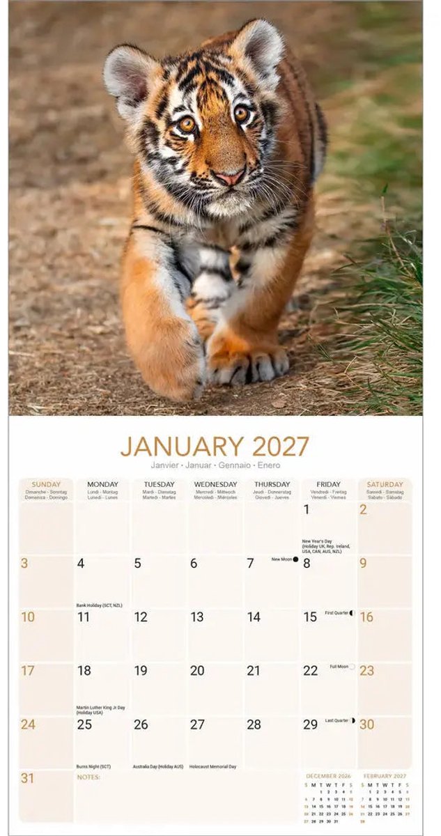 Tijger Kalender 2027