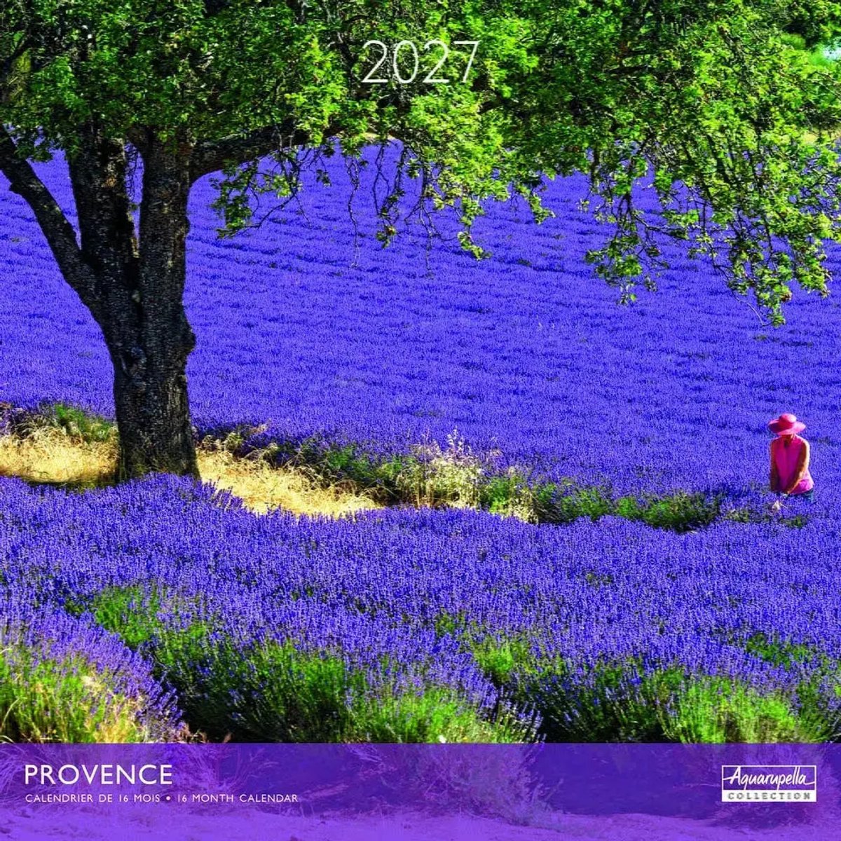Provence Kalender 2027