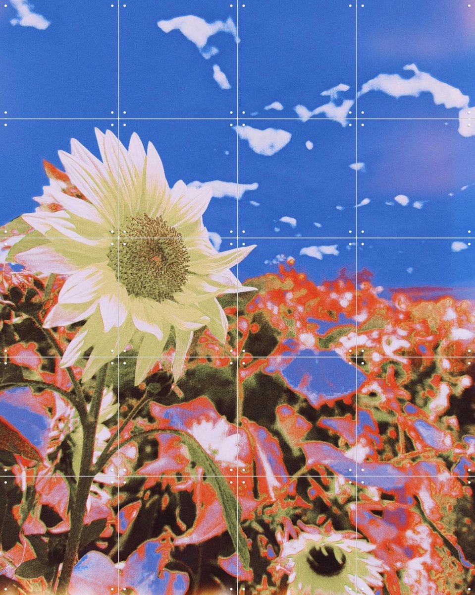 IXXI In the Breeze, Amber Lauder - 80 x 100 cm - Gratis ophangtool - Grote wanddecoratie en posters - Gemengde Technieken, Woonkamer, Gang, Trap