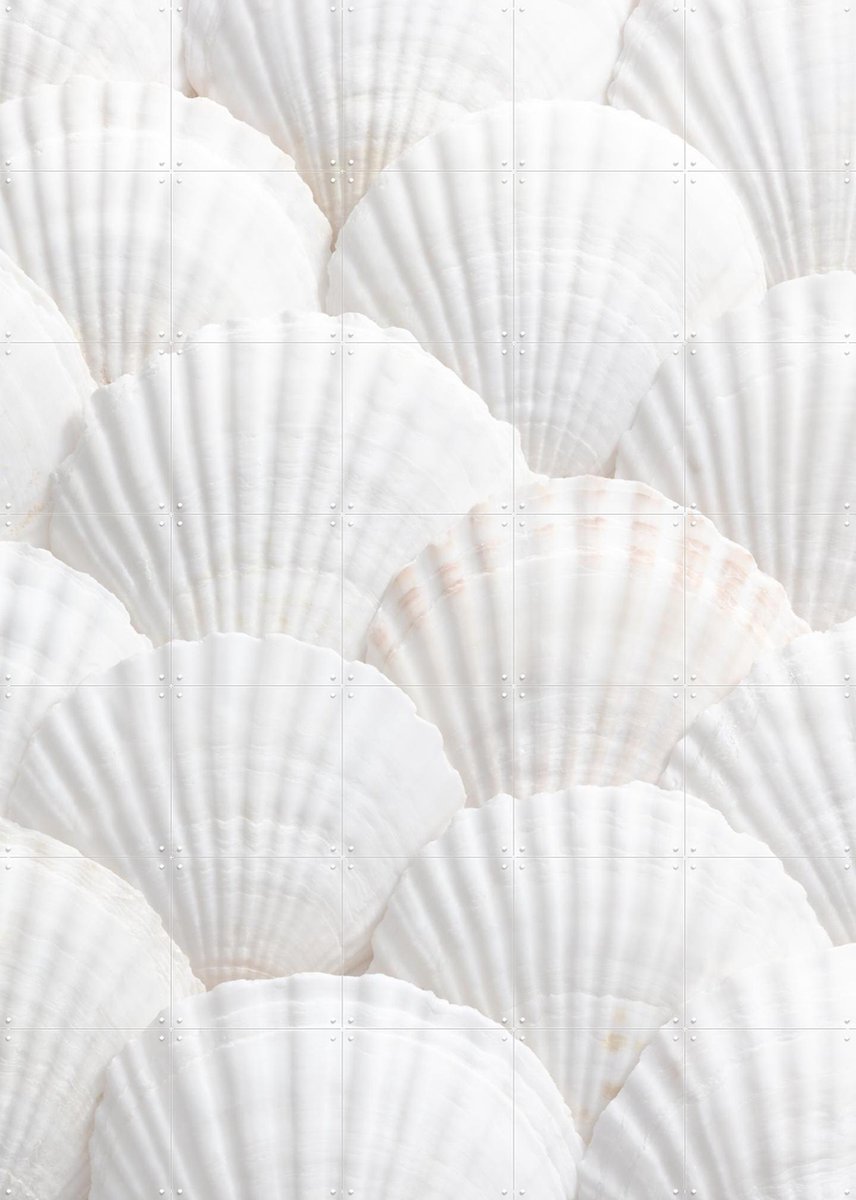 IXXI Seashell Symphony, 1x Studio II & Various - 100 x 140 cm - Gratis ophangtool - Grote wanddecoratie en posters - Modern, Abstract, Minimalisme