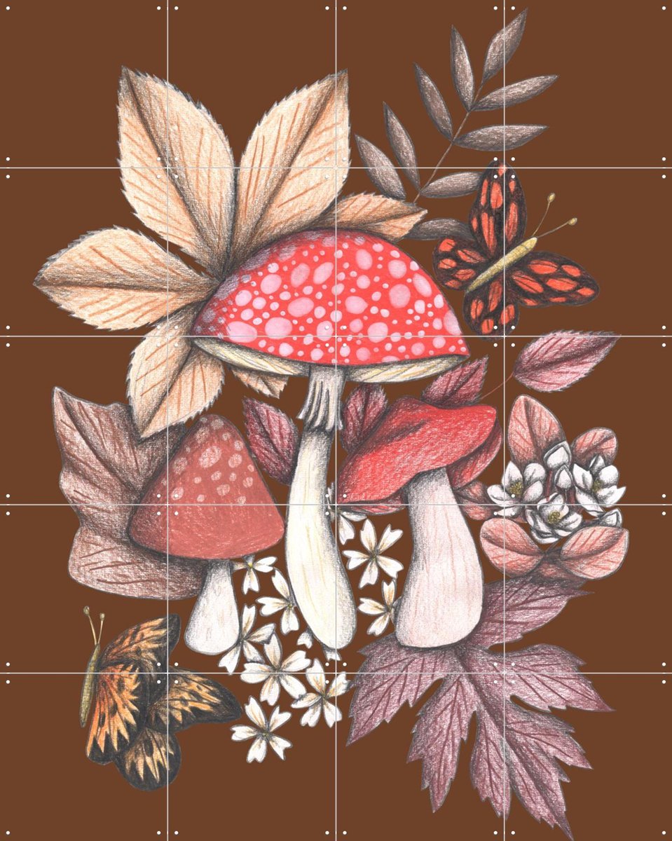 IXXI Mushrooms Magic 1, Cecilia Battaini - 80 x 100 cm - Gratis ophangtool - Grote wanddecoratie en posters - Illustraties, Fantasierijk, Art Nouveau